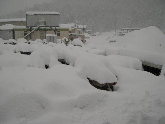nevicata dicembre 2008